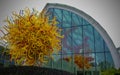 Glass tree in yellow and red with twisted branches