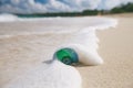 Glass tropical sea shell with waves under sun light