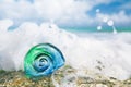 Glass tropical sea shell with waves under sun light