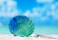 glass tropical sea shell on white beach sand under the sun lig Royalty Free Stock Photo