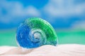 Glass tropical sea shell on white beach sand under the sun lig Royalty Free Stock Photo