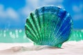 Glass tropical sea shell on white beach sand under the sun lig Royalty Free Stock Photo