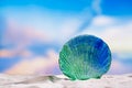 Glass tropical sea shell on white beach sand under the sun lig