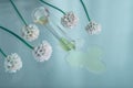 Glass tube with leaking liquid on silver surface and blurred white flowers. Natural essences and extractions concept Royalty Free Stock Photo