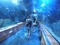 Glass tunnel in LOceanografic aquarium in Valencia, Spain Royalty Free Stock Photo