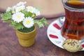 Glass of Turkish tea.black tea