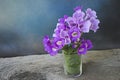 Beautiful garlic vine vase on blue background Royalty Free Stock Photo