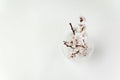 Glass vase and branch with blossoms on white background. Top view. Template. Copy space Royalty Free Stock Photo