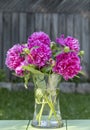 A Vase of Dark Pink Peonies in a Garden Setting #2 Royalty Free Stock Photo