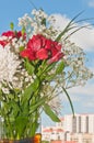 Glass vase, filled with colorful, freshly cut flowers Royalty Free Stock Photo