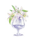 Glass vase with flowers. Lilies 1