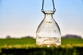 Glass vase hangs on chains outside in an old tree against a clear sky Royalty Free Stock Photo