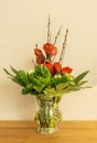 Glass vase with red Amaryllis and green leaves Royalty Free Stock Photo