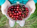 Glass vase with a red ripe cherry on a grass background Royalty Free Stock Photo