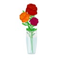 Glass vase with roses isolated on white background. Red roses bouquet in glass bowl with water. Royalty Free Stock Photo