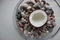 Detailed Stock Photo Of Chopped In Half Coconut In Glass Bowl With Sea Stones Royalty Free Stock Photo