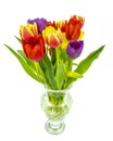 Glass vase and Tulips Royalty Free Stock Photo