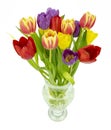 Glass vase and Tulips Royalty Free Stock Photo