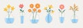 Glass vases with blue water. Flower in vase set line. Different flowers. Cute colorful icon collection. Daisy, tulip, gerbera. Royalty Free Stock Photo