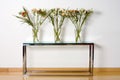 Glass vases and plants