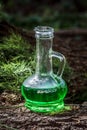 Glass vessel with green herbal potion in the woods on the trunk