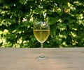 Glass of Vine with Wine Grape Background