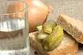 Glass of vodka, bread and pickled cucumber Royalty Free Stock Photo