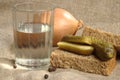 Glass of vodka, bread and pickled cucumber Royalty Free Stock Photo