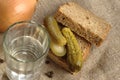 Glass of vodka, bread and pickled cucumber Royalty Free Stock Photo