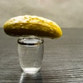 A glass of vodka fifty with pickled cucumber. Royalty Free Stock Photo