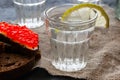 Glass of vodka with a lemon slice close-up and sandwich with red caviar Royalty Free Stock Photo