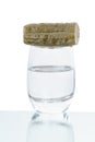 Glass of vodka with pickled cucumber Royalty Free Stock Photo