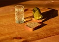 a glass of vodka with pieces of black bread and pickled cucumber. wooden background. harsh sunlight and harsh shadows. Royalty Free Stock Photo