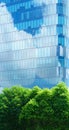 Glass wall architecture friendly office building. save energy and fresh green leaves tree reflection cloud and blue sky background Royalty Free Stock Photo