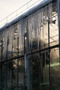 Glass wall of hothouse with tropical plants growing inside covered with dangerous icicles and snow Royalty Free Stock Photo