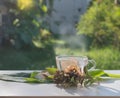 A Glass of warm water and fresh ginger cut into thin pieces on galangal leaves has water drop. Basil leaves on side Put it on