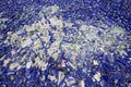 Glass waste in recycling facility. Blue bottles Royalty Free Stock Photo