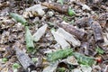 Glass waste in recycling facility. Brown and green bottles.