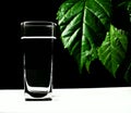 Glass of water Royalty Free Stock Photo