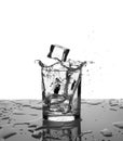 Glass with water or alcohol with splashes from falling ice cubes isolated on white background Royalty Free Stock Photo