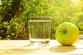 A glass of water and a green apple early in the morning on a natural background. The concept of morning, healthy food and diet.