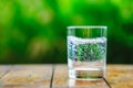 A glass of water on green background