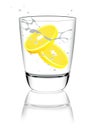 Glass of water with lemon