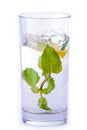 Glass of water with lemon and mint