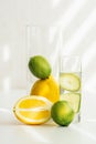 Glass with water and lime, orange and lime in a glass vase Royalty Free Stock Photo