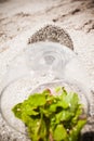 glass with water and mint Royalty Free Stock Photo