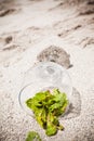 glass with water and mint Royalty Free Stock Photo
