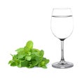 Glass of water and mint Royalty Free Stock Photo