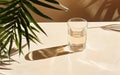 Glass of water, palms leaves. Long harsh shadows. Beige table background in sunlight. Blank business, greeting card, invitation Royalty Free Stock Photo