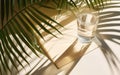 Glass of water, palms leaves. Long harsh shadows. Beige table background in sunlight. Blank business, greeting card, invitation Royalty Free Stock Photo